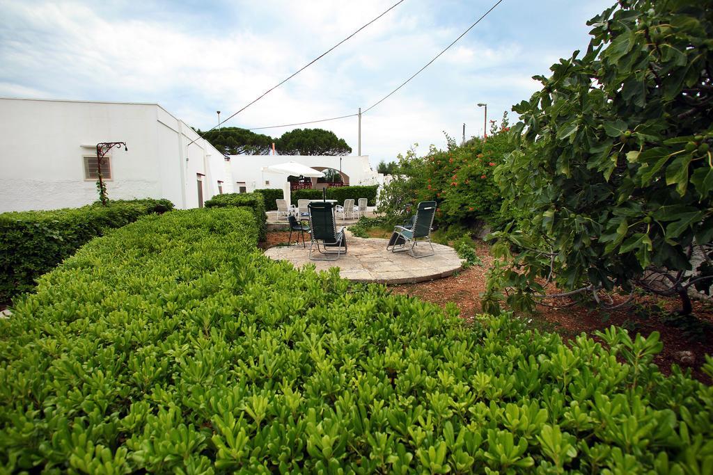 Paradise Patù المظهر الخارجي الصورة